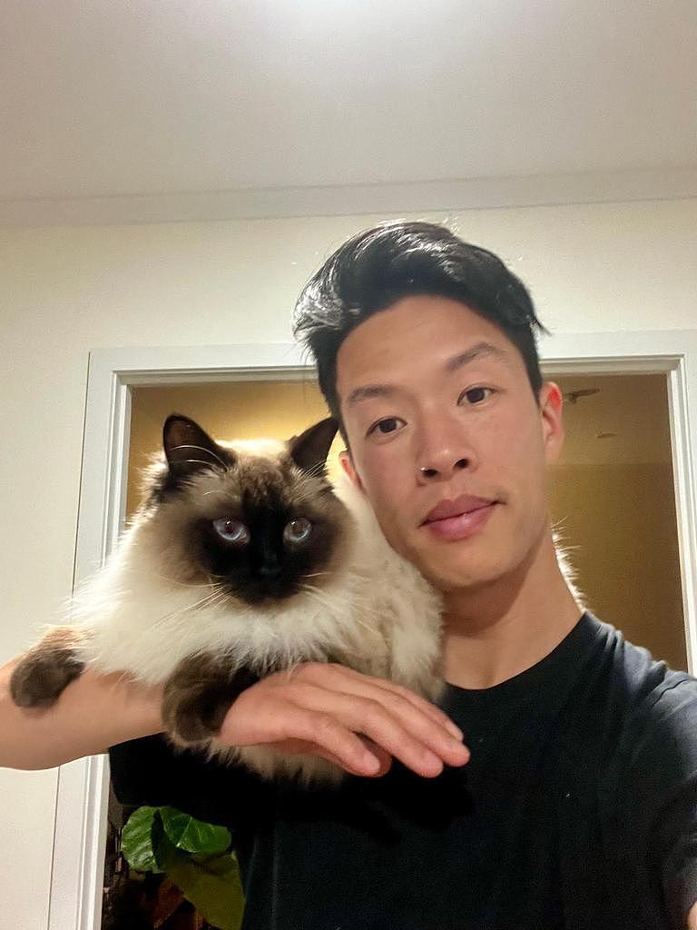 两名澳洲人爱猫因家中常见观赏植物中毒身亡，称零售商应告知顾客此物潜在致命风险（组图） - 1