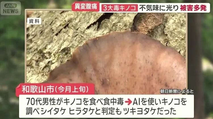 七旬大爷进山采菇,拍照后AI说无毒,可吃!半小时后惨了....(组图) - 6