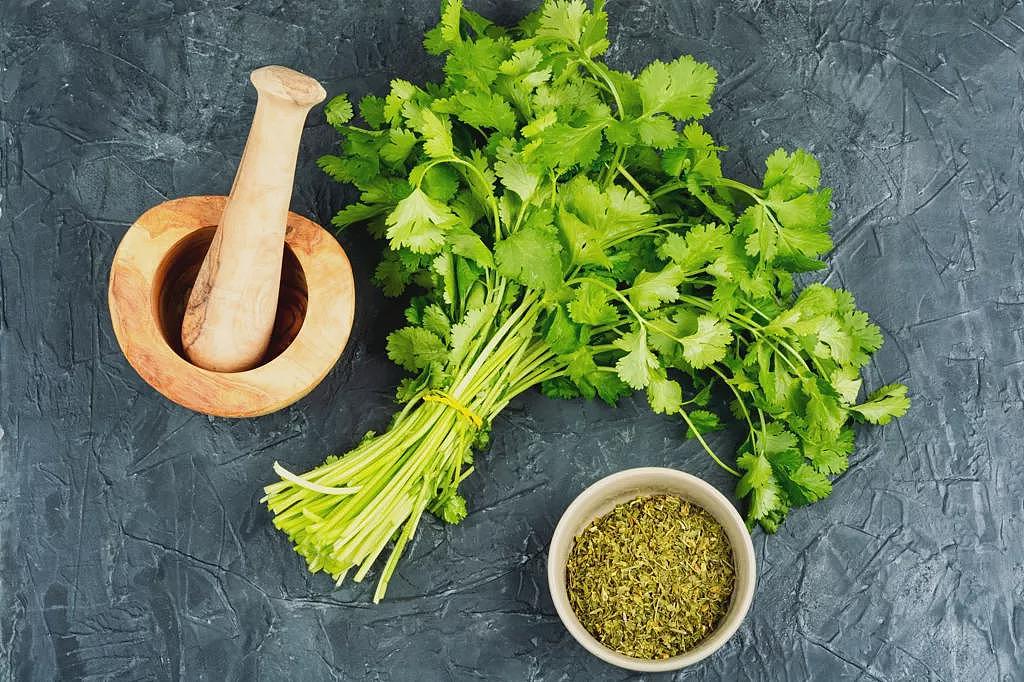 【涨知识】新研究揭密为何“突然爱上香菜”，竟然因为老了（图） - 1