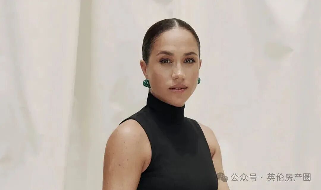 哈里梅根背后金主曝光：住人家豪宅，坐人家私人飞机全免费（组图） - 4