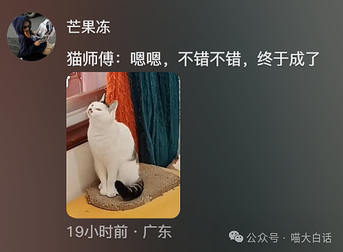 【爆笑】“把陌生人错认成朋友发了一个月自拍后...”哈哈哈哈哈太抓马了（组图） - 115