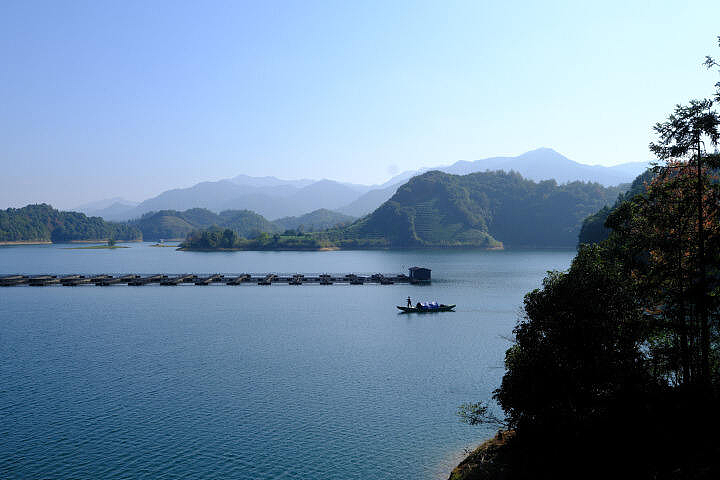 欧洲人的“黑月光”，竟成了浙江土特产？（组图） - 7