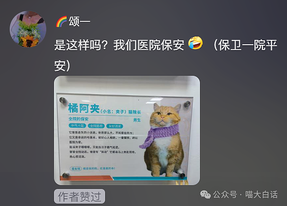 【爆笑】“把陌生人错认成朋友发了一个月自拍后...”哈哈哈哈哈太抓马了（组图） - 58