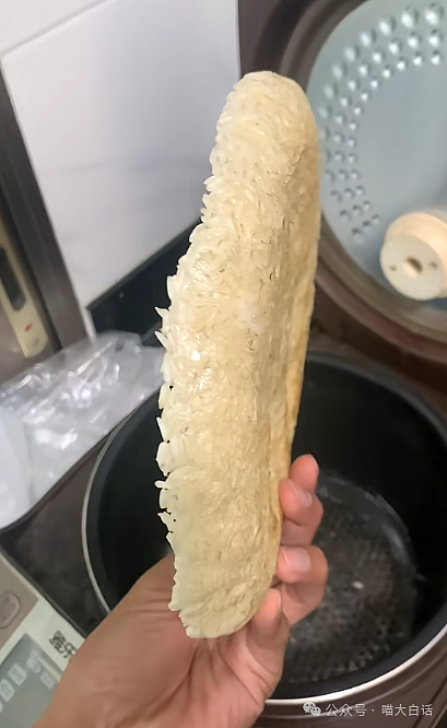 【爆笑】“大学舍友的怪癖有多奇葩？”哈哈哈哈哈不亚于发现外星人的程度（组图） - 66