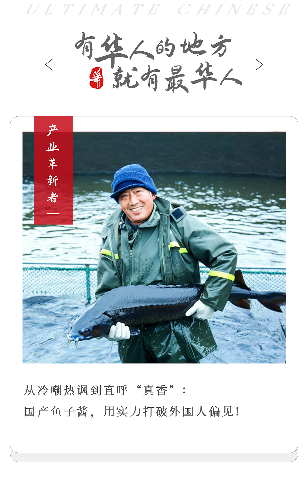 欧洲人的“黑月光”，竟成了浙江土特产？（组图） - 1