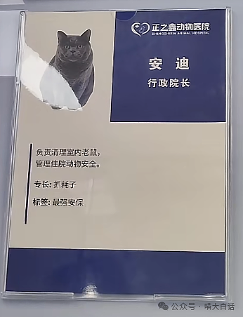 【爆笑】“把陌生人错认成朋友发了一个月自拍后...”哈哈哈哈哈太抓马了（组图） - 55
