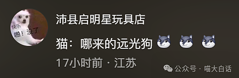 【爆笑】“把陌生人错认成朋友发了一个月自拍后...”哈哈哈哈哈太抓马了（组图） - 106