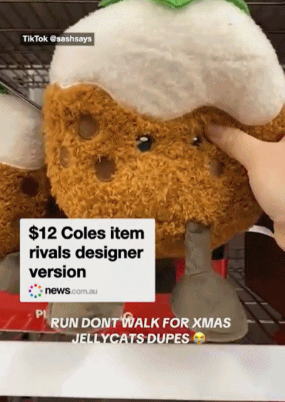 Coles首次上架这种圣诞商品,只要$12,正版$120!被抢疯了(组图) - 4
