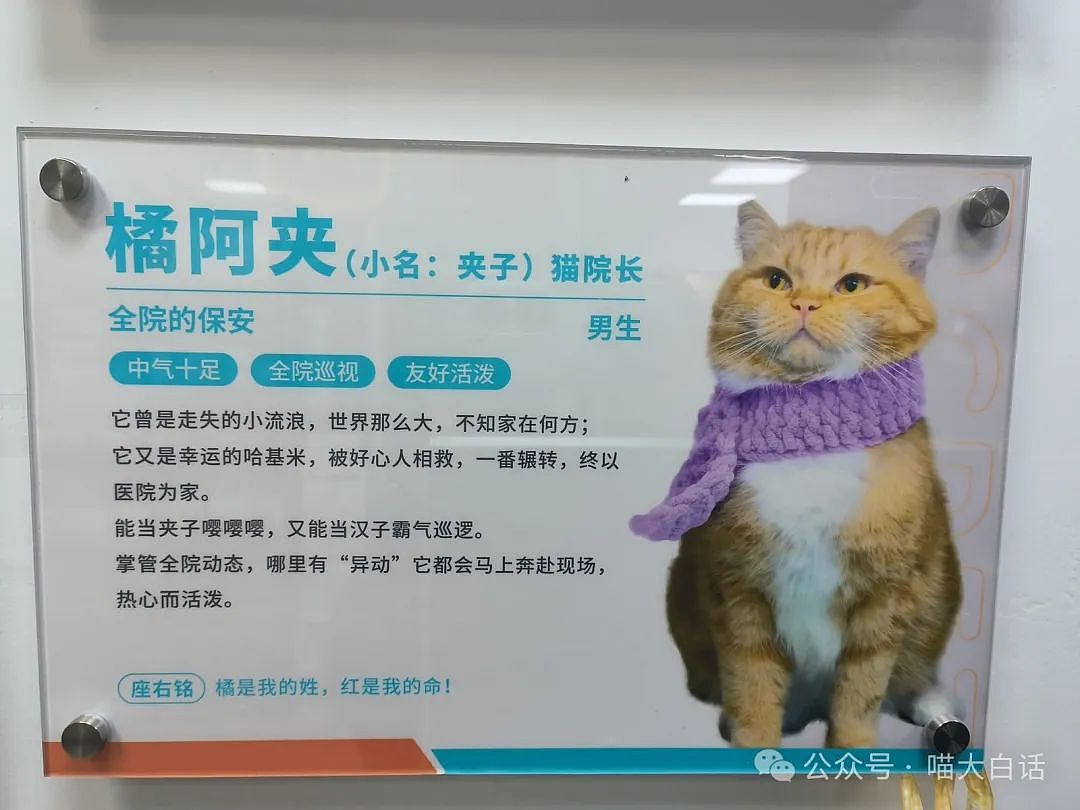【爆笑】“把陌生人错认成朋友发了一个月自拍后...”哈哈哈哈哈太抓马了（组图） - 59
