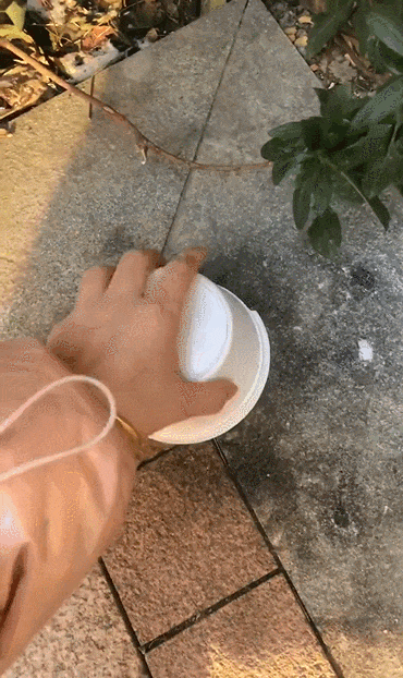 【宠物】南方猫VS北方猫过冬取暖方式，最后一种看哭所有人...咪：人，谢谢你（组图） - 21
