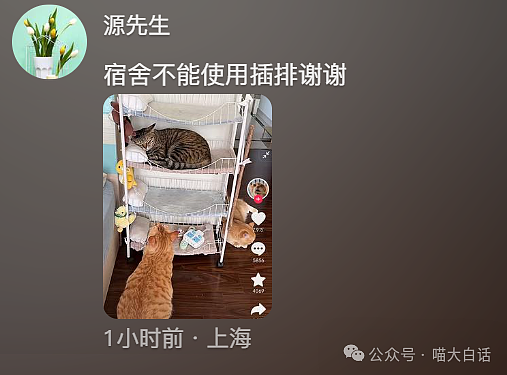 【爆笑】“大学舍友的怪癖有多奇葩？”哈哈哈哈哈不亚于发现外星人的程度（组图） - 148