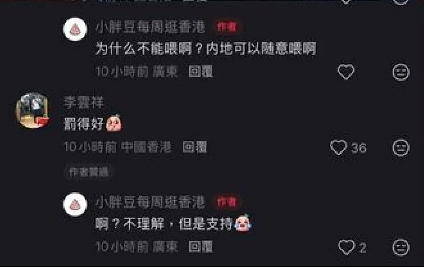 女游客香港街头喂鸽被罚5000港元引争议！质疑：内地可以随意喂（组图） - 3