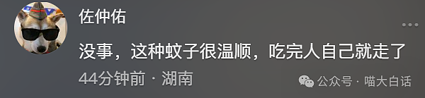 【爆笑】“大学舍友的怪癖有多奇葩？”哈哈哈哈哈不亚于发现外星人的程度（组图） - 163