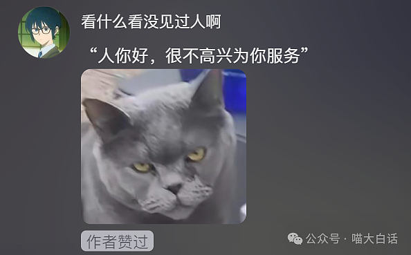 【爆笑】“把陌生人错认成朋友发了一个月自拍后...”哈哈哈哈哈太抓马了（组图） - 57