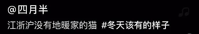 【宠物】南方猫VS北方猫过冬取暖方式，最后一种看哭所有人...咪：人，谢谢你（组图） - 3