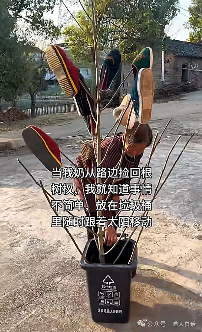 【爆笑】“大学舍友的怪癖有多奇葩？”哈哈哈哈哈不亚于发现外星人的程度（组图） - 103