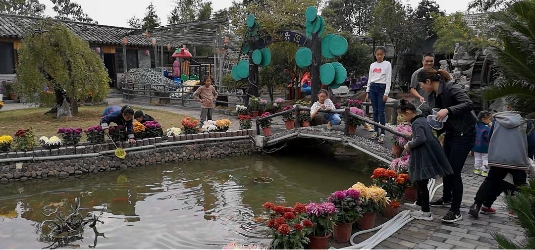 欧洲人的“黑月光”，竟成了浙江土特产？（组图） - 13