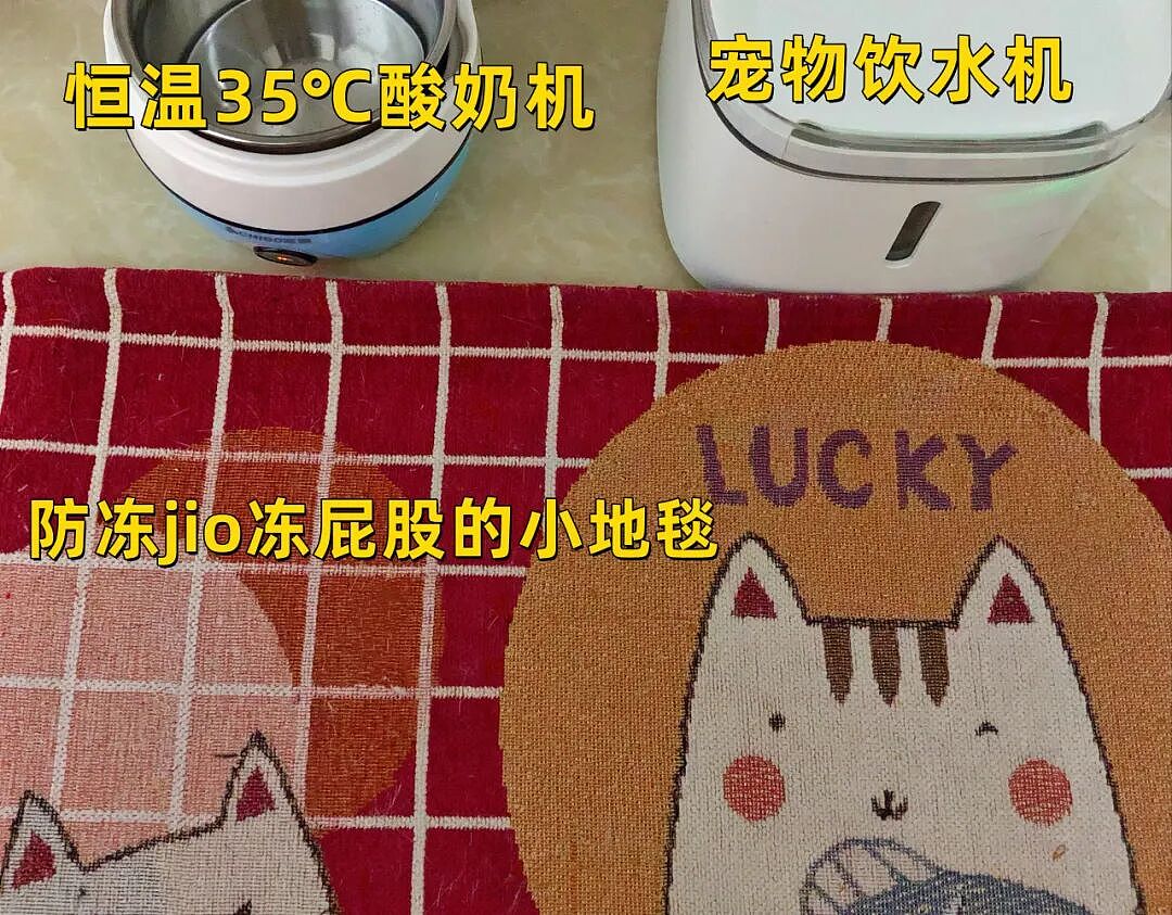 【宠物】南方猫VS北方猫过冬取暖方式，最后一种看哭所有人...咪：人，谢谢你（组图） - 6