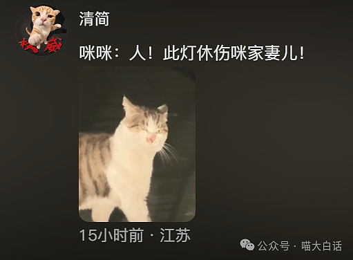 【爆笑】“把陌生人错认成朋友发了一个月自拍后...”哈哈哈哈哈太抓马了（组图） - 107