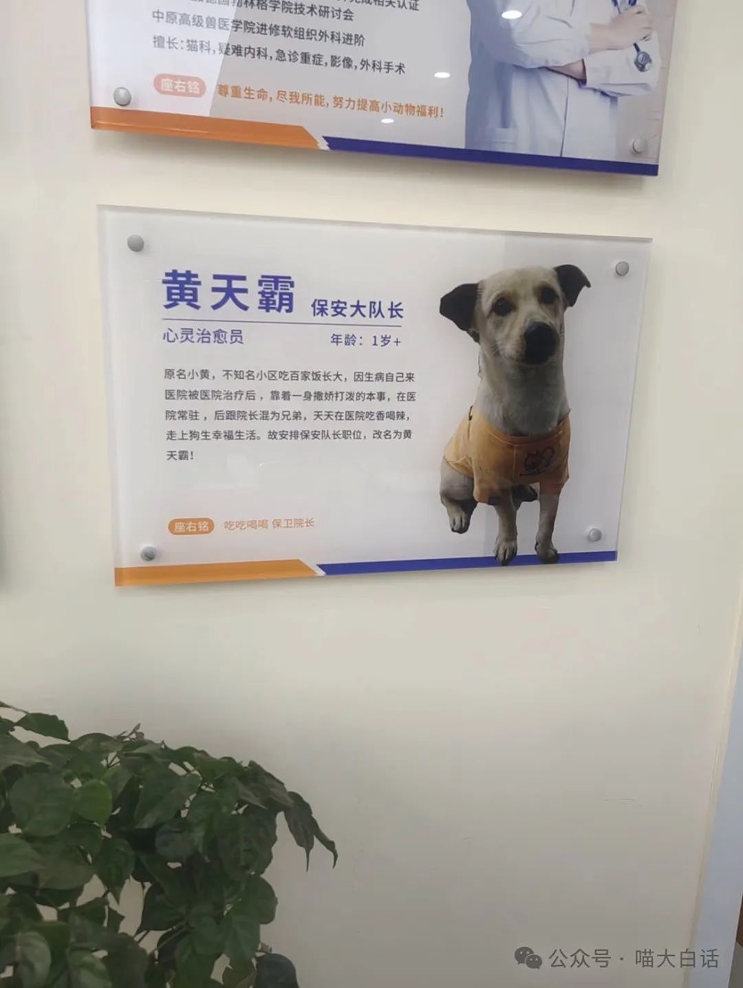 【爆笑】“把陌生人错认成朋友发了一个月自拍后...”哈哈哈哈哈太抓马了（组图） - 62