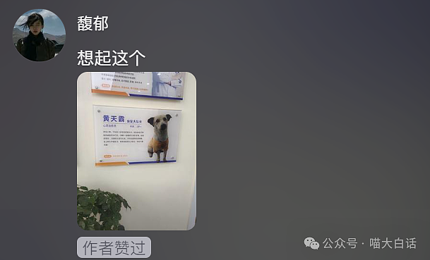 【爆笑】“把陌生人错认成朋友发了一个月自拍后...”哈哈哈哈哈太抓马了（组图） - 61