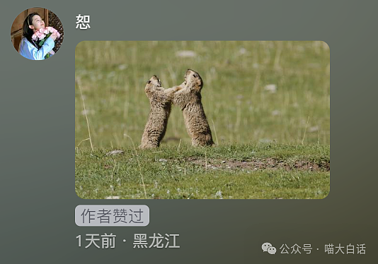 【爆笑】“把陌生人错认成朋友发了一个月自拍后...”哈哈哈哈哈太抓马了（组图） - 139