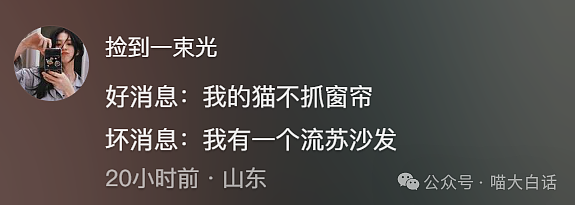 【爆笑】“把陌生人错认成朋友发了一个月自拍后...”哈哈哈哈哈太抓马了（组图） - 117
