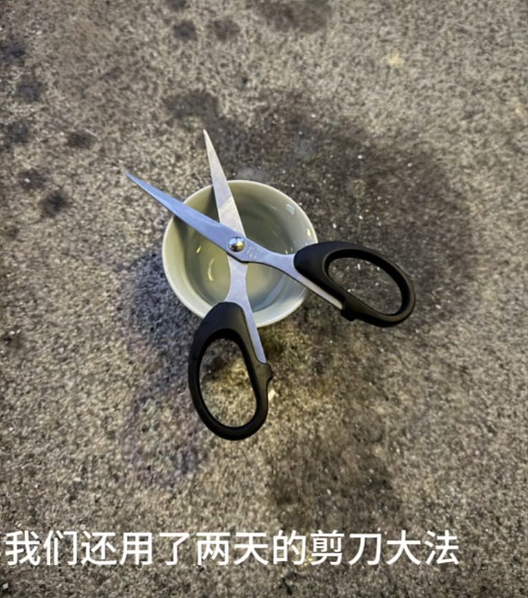 【宠物】道长“掷圣杯”问猫猫是否绝育，解读卦象后绷不住了：你是说祖师爷被这问题逗笑了（组图） - 3