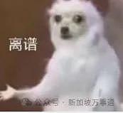 新加坡，东南亚人自己的佛罗里达州！地铁晾衣服、内裤占座、大街上裸奔...（组图） - 3