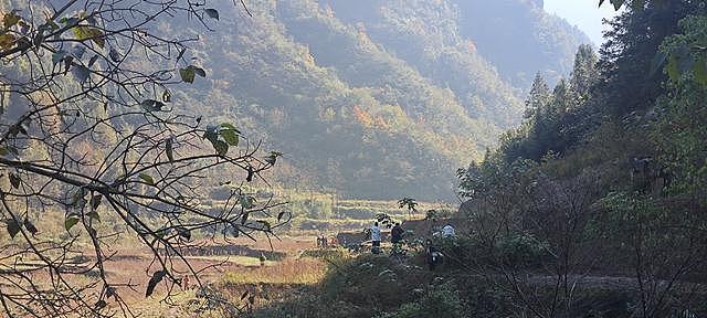 荒野求生13名选手进入决赛赛区,“老中医”鞋垫藏细线出局(组图) - 1