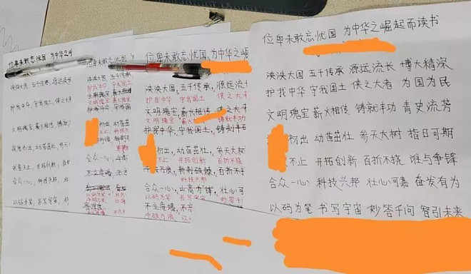 AI时代的荒诞剧:一个被AI欺骗的人类故事(组图) - 4