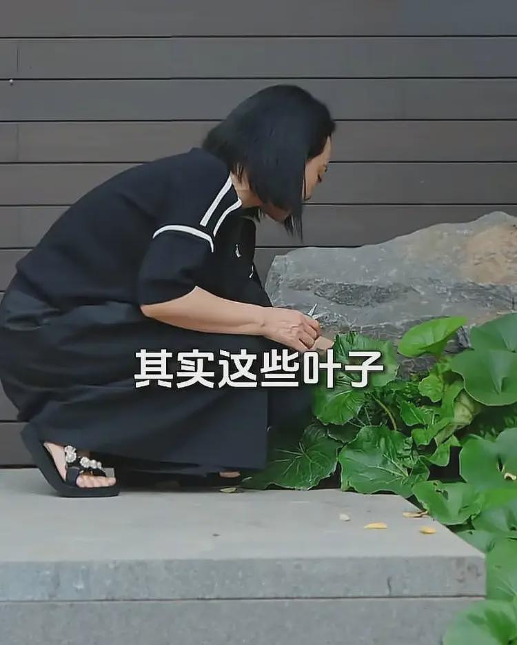 他家靠自媒体还债?别天真了...(组图) - 17