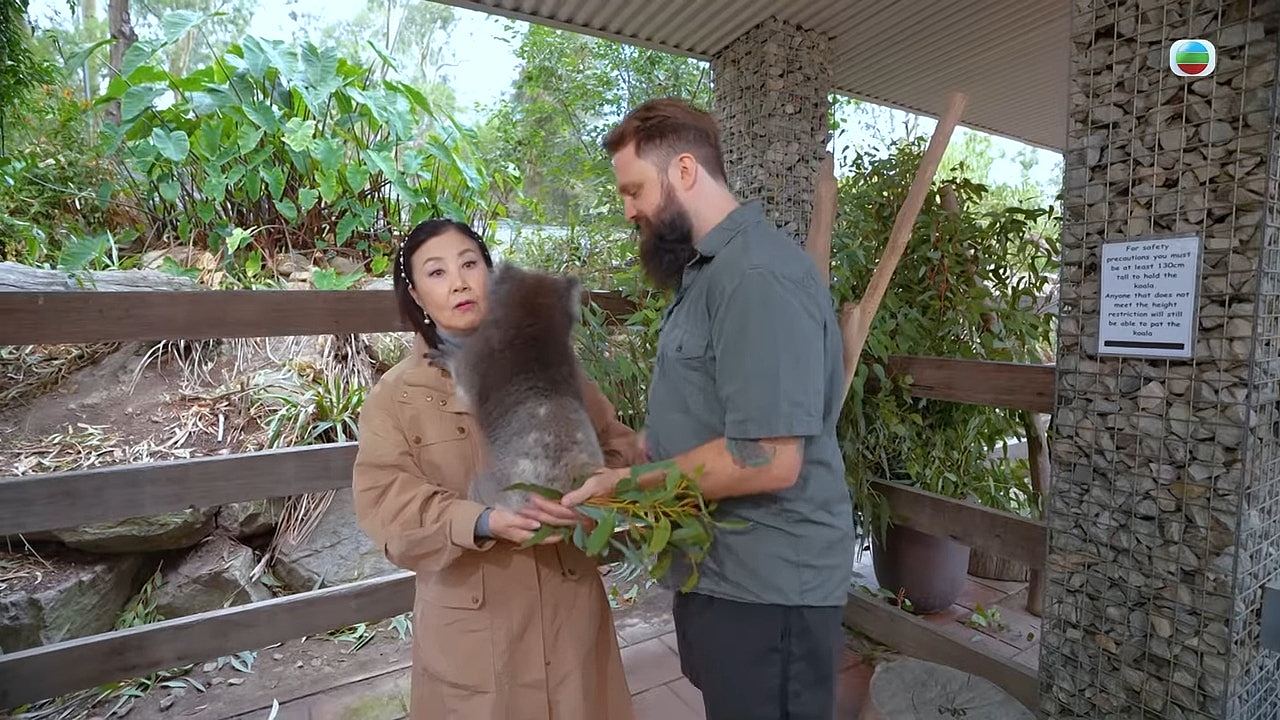 带阿姐看世界:汪明荃周嘉洛自驾游澳洲,阿姐揭罗家英开车坏习惯(组图) - 7