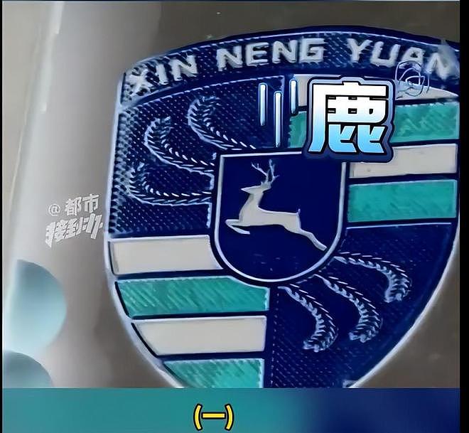 大爷花2万多网购“高配卡宴”到手变老头乐“保时捷鹿”(组图) - 3