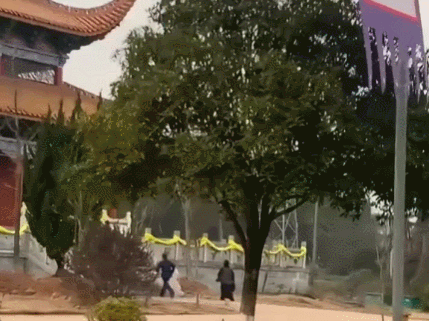【宠物】道长“掷圣杯”问猫猫是否绝育，解读卦象后绷不住了：你是说祖师爷被这问题逗笑了（组图） - 13