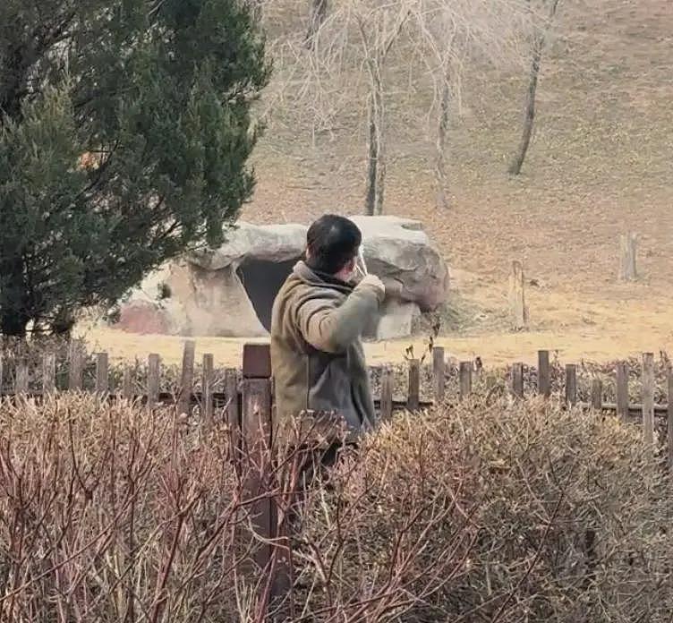 男子动物园内用弹弓射老虎,目击者称其填装弹丸(组图) - 1