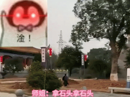【宠物】道长“掷圣杯”问猫猫是否绝育，解读卦象后绷不住了：你是说祖师爷被这问题逗笑了（组图） - 12