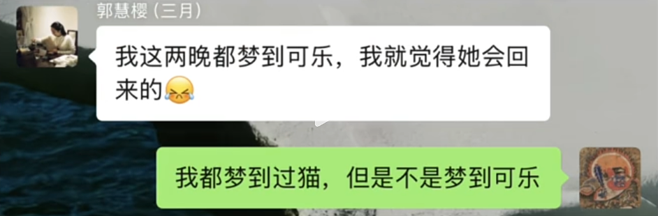 【宠物】道长“掷圣杯”问猫猫是否绝育，解读卦象后绷不住了：你是说祖师爷被这问题逗笑了（组图） - 2