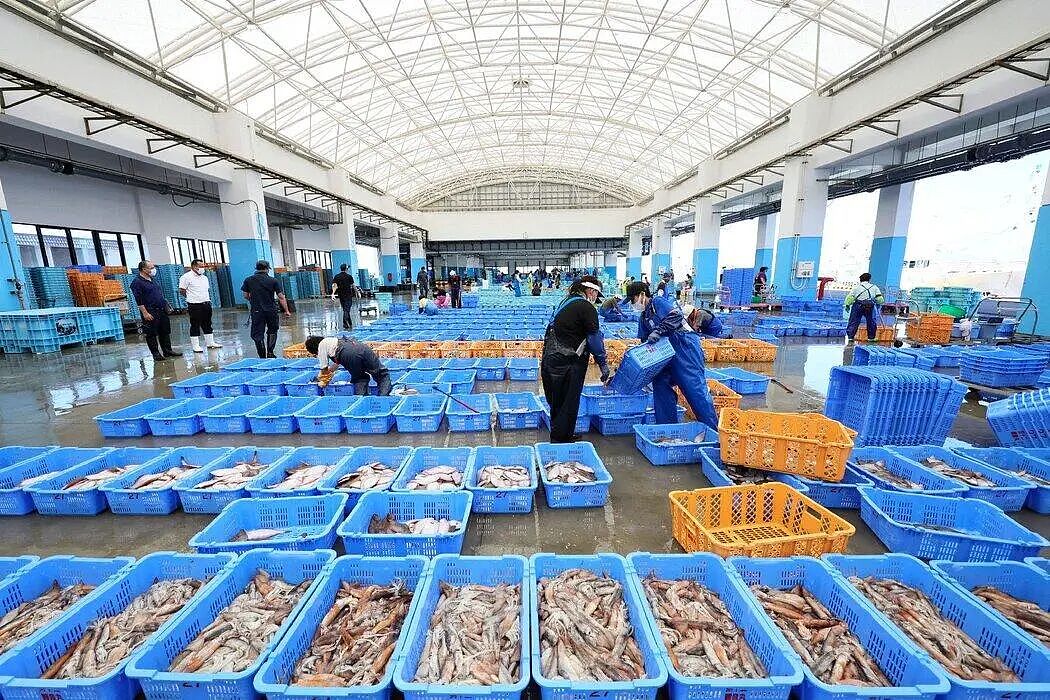 高市越过红线后,中日交流全线叫停(组图) - 8