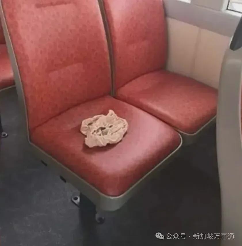 新加坡，东南亚人自己的佛罗里达州！地铁晾衣服、内裤占座、大街上裸奔...（组图） - 26