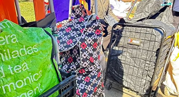 洛杉矶华人区清晨大排长龙,数百人排队领免费食物:有老人凌晨4点就出门(组图) - 12