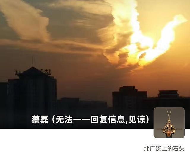 蔡磊今年首次直播：与疾病的战斗从未有一刻停歇（组图） - 5