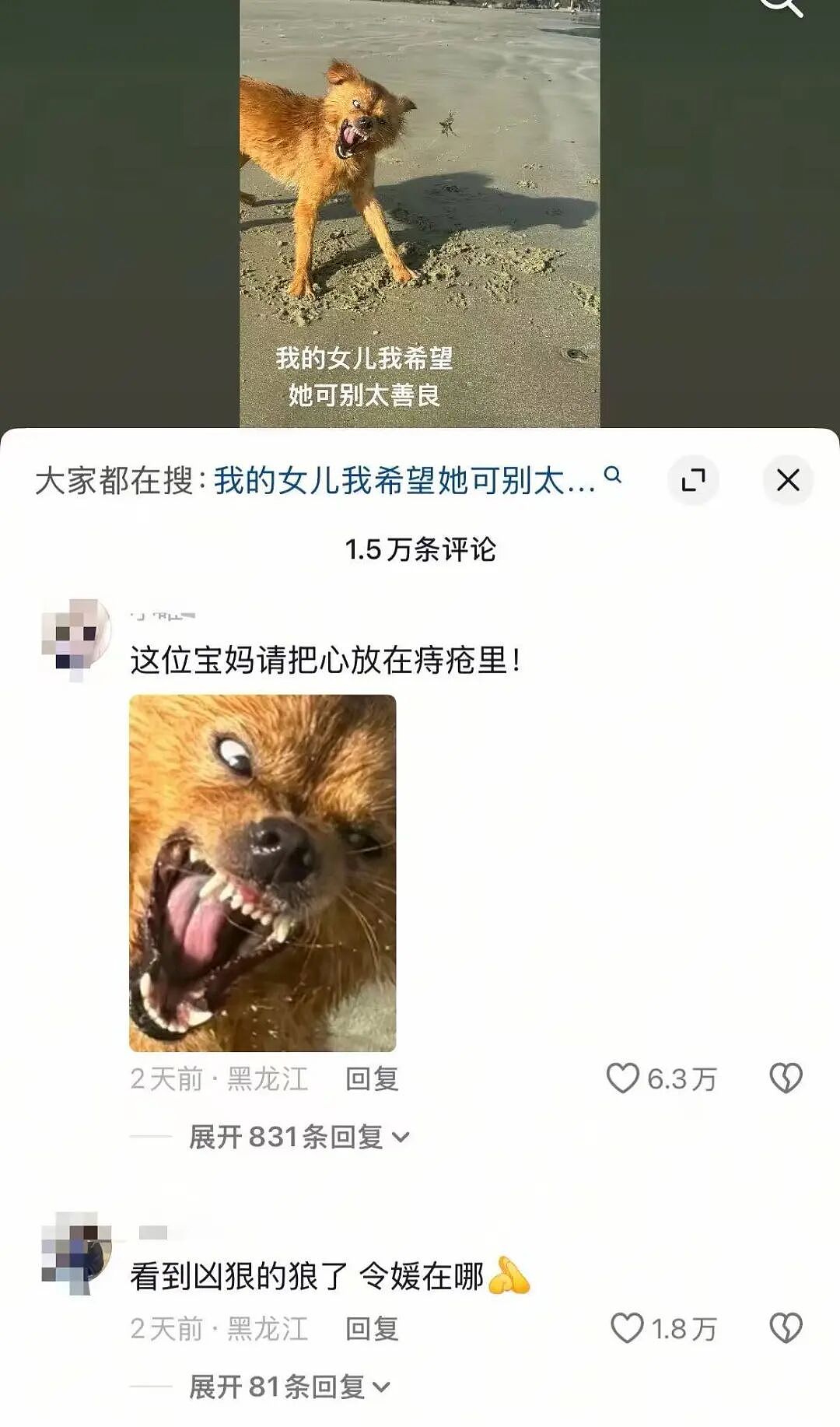 【爆笑】当妈妈怀疑同事给我下了猪饲料后…？哈哈哈好一个扮猪吃饲料（组图） - 55