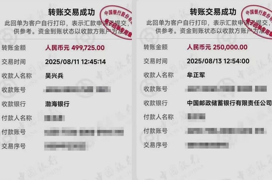 “技术男”设三重安全墙,母亲95万存款还是被骗走了(图) - 2