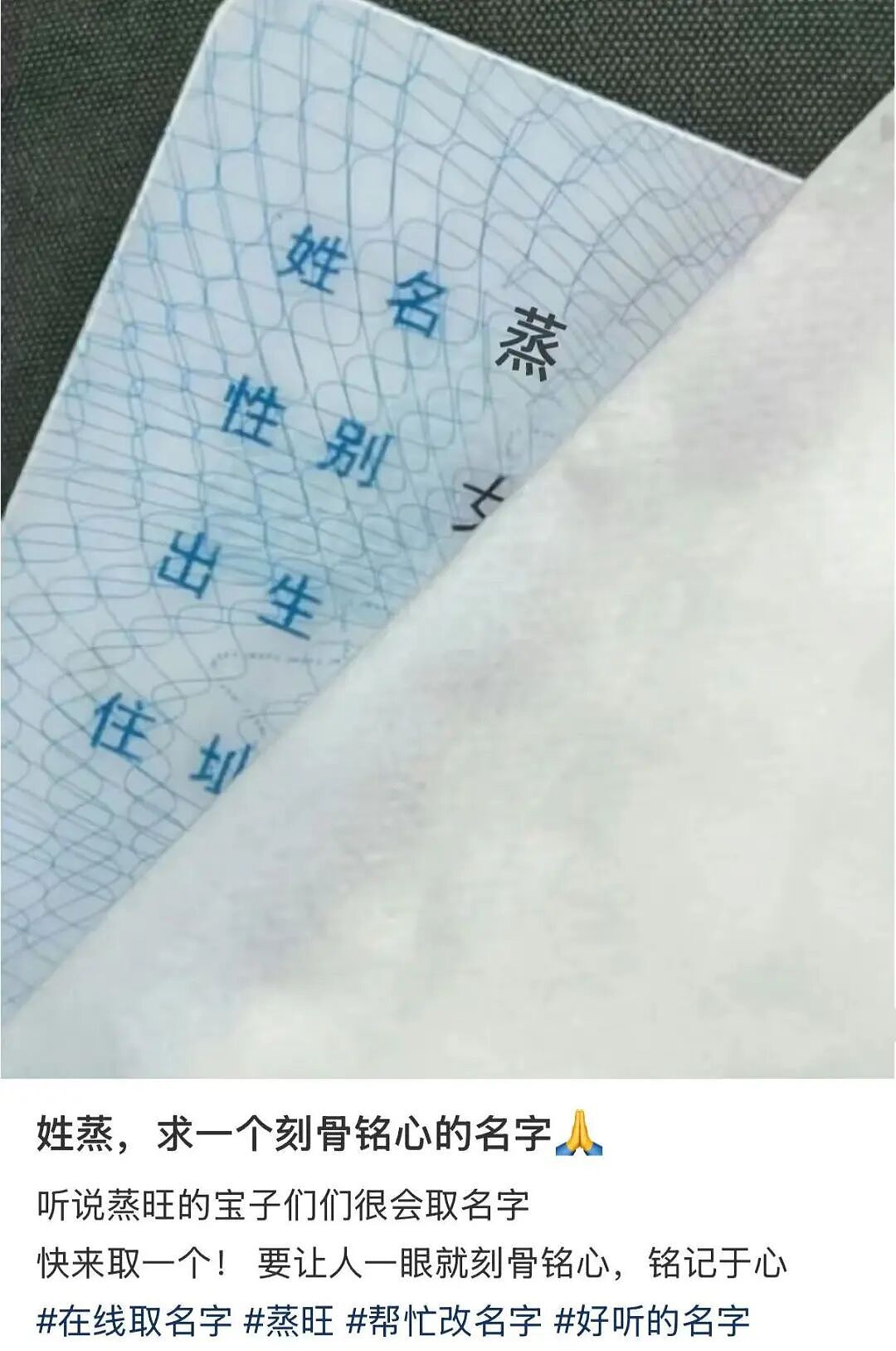【爆笑】当妈妈怀疑同事给我下了猪饲料后…？哈哈哈好一个扮猪吃饲料（组图） - 28
