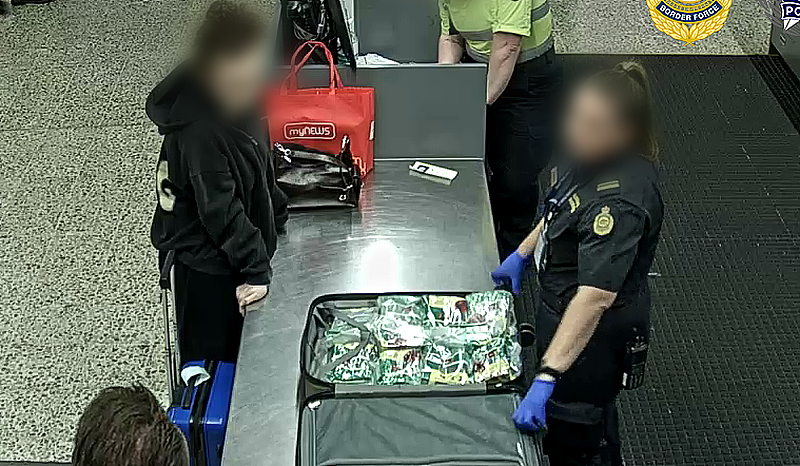 两女子入境澳洲，行李箱中“藏猫腻”，价值超$3300万！当场被捕（组图） - 3