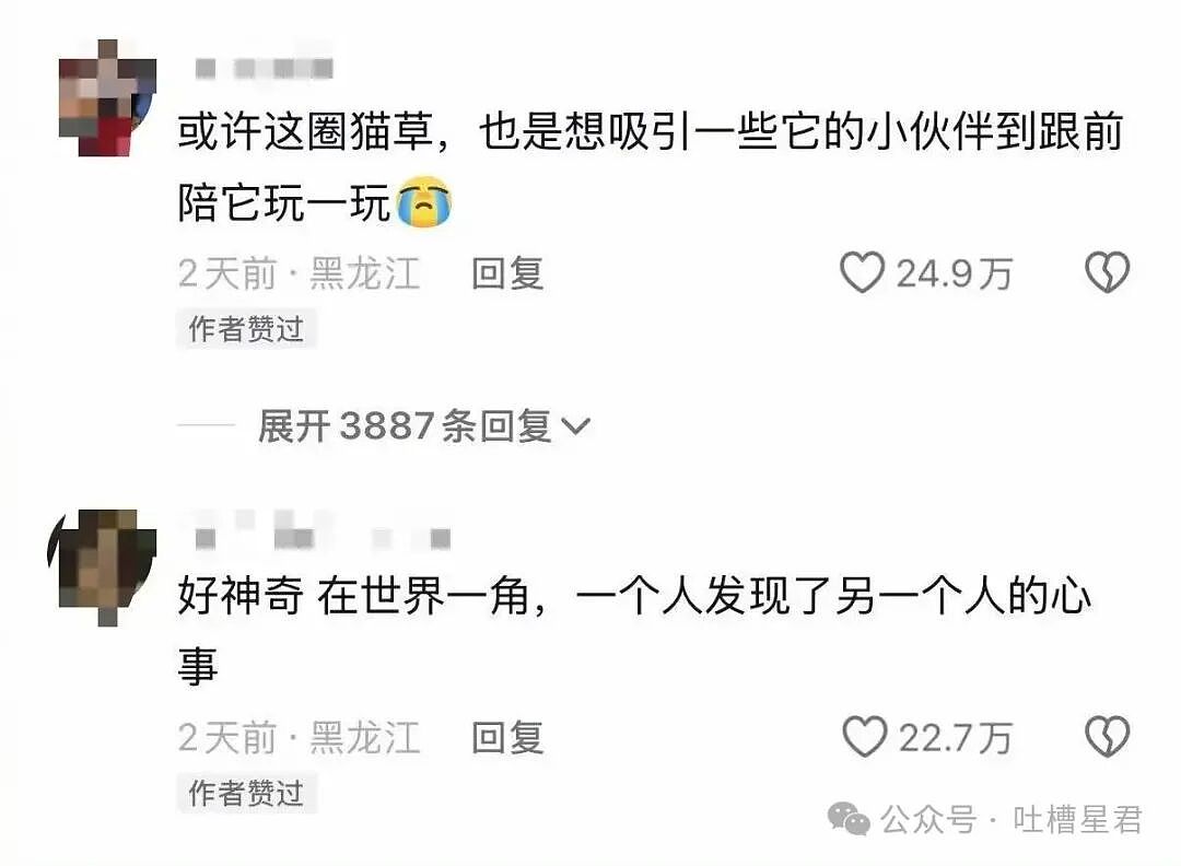 【爆笑】相亲对象讽刺我吃的太多没救了...?啊啊啊还以为是恨铁不成钢的健身教练(组图) - 45