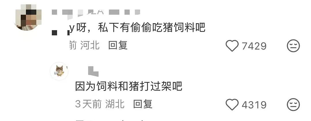 【爆笑】当妈妈怀疑同事给我下了猪饲料后…？哈哈哈好一个扮猪吃饲料（组图） - 6