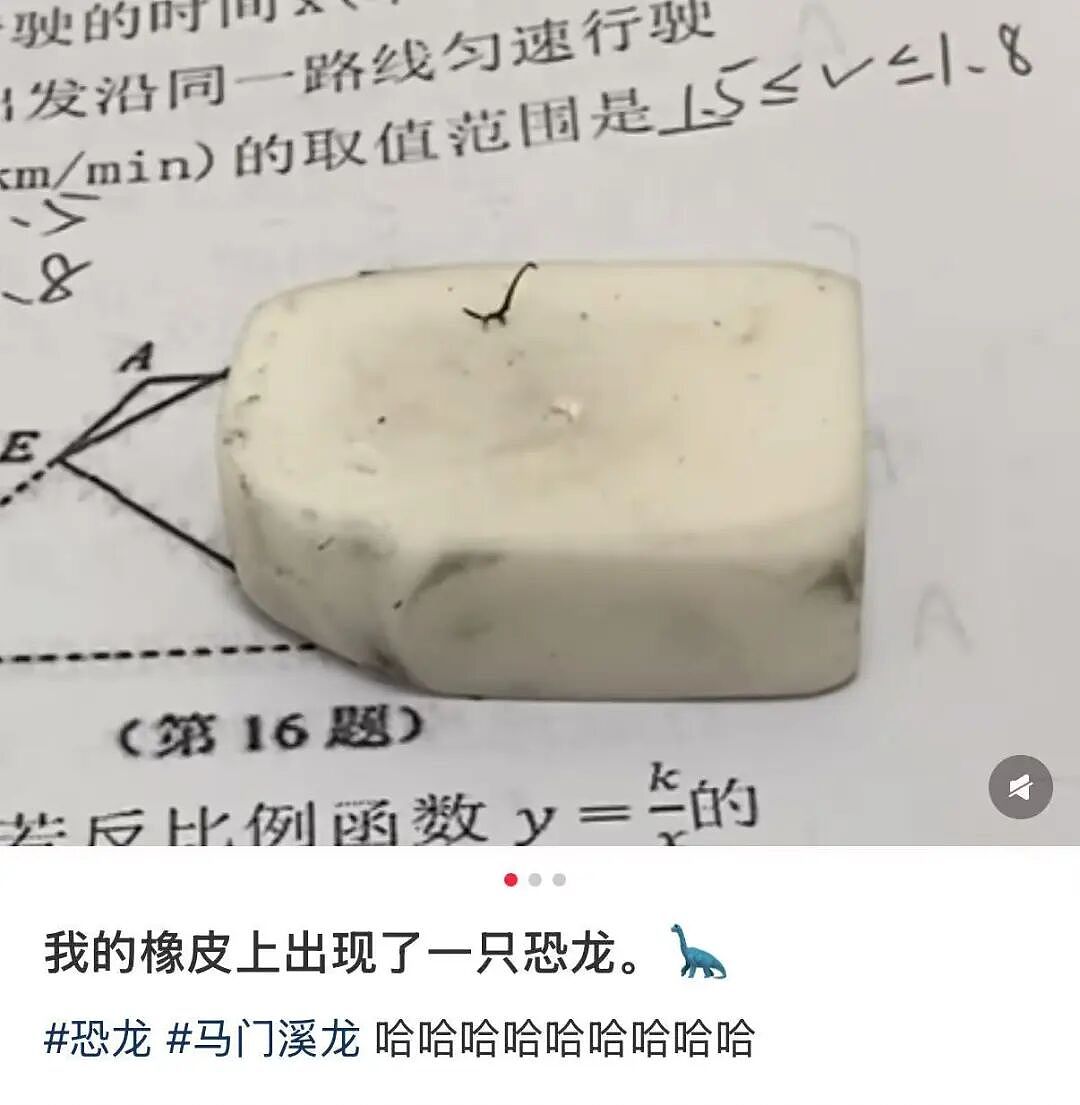【爆笑】当妈妈怀疑同事给我下了猪饲料后…？哈哈哈好一个扮猪吃饲料（组图） - 22