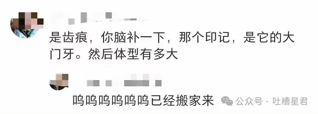 【爆笑】相亲对象讽刺我吃的太多没救了...?啊啊啊还以为是恨铁不成钢的健身教练(组图) - 39